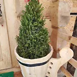 Pod Tatrami Косцелиско